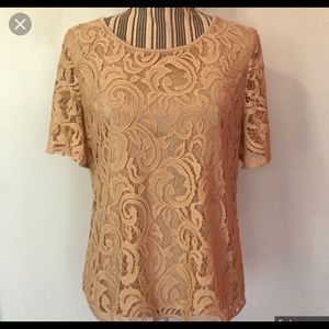NWT Adrianna Papell Blush Flutter Sleeve Lace Top
